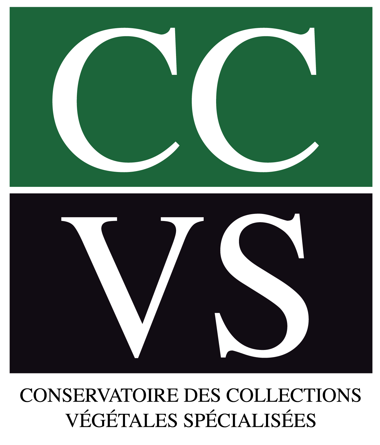 Logo CCVS