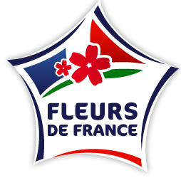 Logo fleur de France